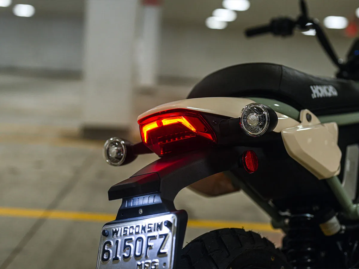2026 LiveWire S4 Honcho Street photo 5